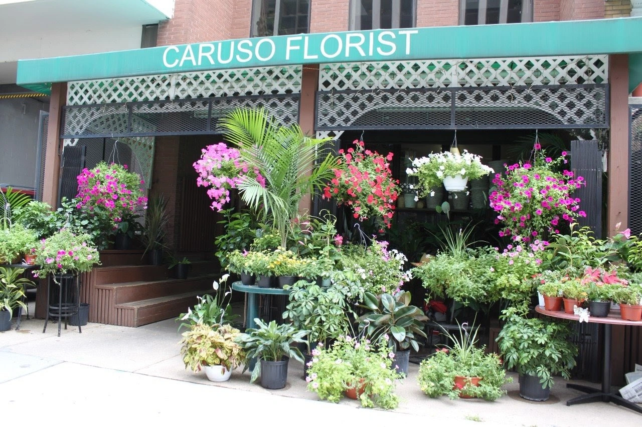 Caruso Florist